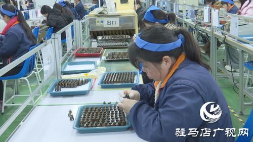 泌阳铭普电子 以科技为引擎，冲刺首季开门红，引领通信技术新浪潮